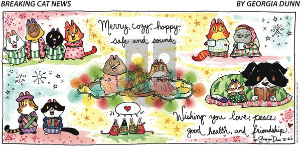 Breaking Cat News on Sunday December 20, 2020 Comic Strip