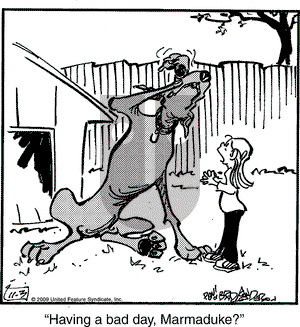 Marmaduke on Tuesday November 3, 2009 Comic Strip