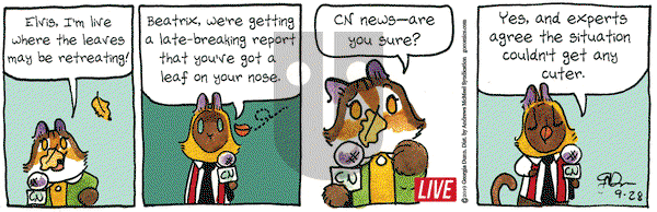 Breaking Cat News on Saturday September 28, 2019 Comic Strip