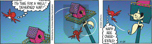 Rose is Rose - Wednesday April 24, 2024 Comic Strip