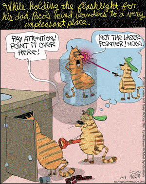 The Flying McCoys - Saturday January 11, 2025 Comic Strip