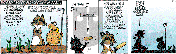 Over the Hedge on Wednesday June 18, 2025 Comic Strip