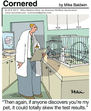 Cornered on Wednesday October 18, 2017 Comic Strip