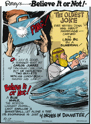 Ripley's Believe It or Not on Friday October 17, 2008 Comic Strip