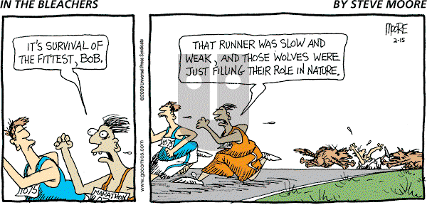 In the Bleachers - Sunday February 15, 2009 Comic Strip