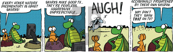 Sherman's Lagoon on Monday May 19, 2025 Comic Strip