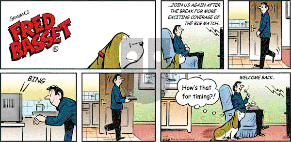 Fred Basset on Sunday November 14, 2010 Comic Strip