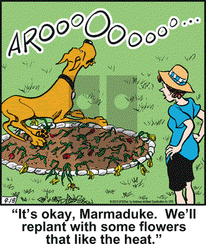 Marmaduke - Monday September 18, 2023 Comic Strip