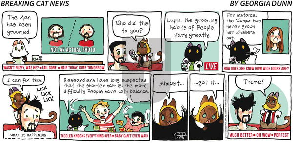 Breaking Cat News on Sunday January 6, 2019 Comic Strip