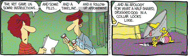 The Buckets on Friday November 17, 2017 Comic Strip