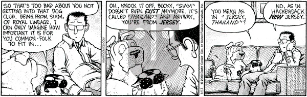 Get Fuzzy on Tuesday June 13, 2000 Comic Strip