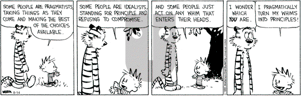 Calvin and Hobbes on Friday August 14, 2015 Comic Strip