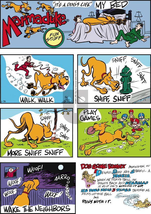 Marmaduke on Sunday January 31, 2016 Comic Strip