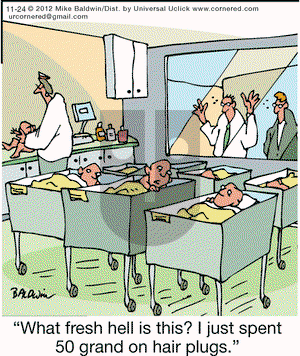 Cornered on Saturday November 24, 2012 Comic Strip