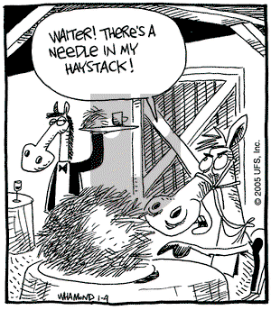 Reality Check on Tuesday January 4, 2005 Comic Strip