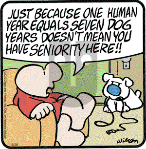 Ziggy - Monday May 29, 2023 Comic Strip