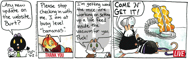 Breaking Cat News on Wednesday April 2, 2025 Comic Strip