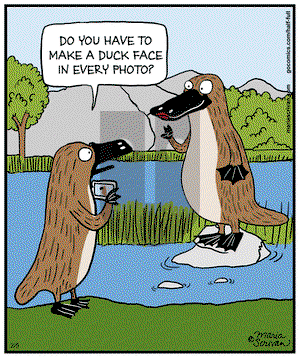 Half Full on Wednesday February 5, 2014 Comic Strip
