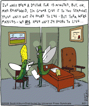 The Argyle Sweater - Thursday August 21, 2008 Comic Strip