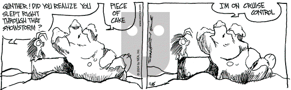 The Grizzwells on Saturday November 6, 2004 Comic Strip