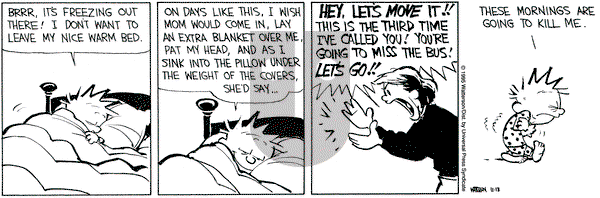Calvin and Hobbes on Monday November 13, 1995 Comic Strip