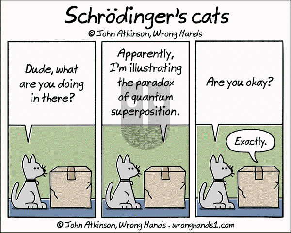 Wrong Hands on Friday November 22, 2024 Comic Strip
