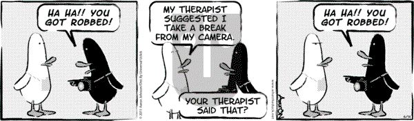 W.T. Duck on Tuesday November 28, 2023 Comic Strip