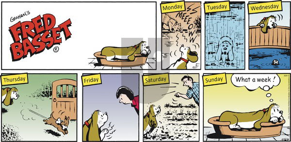 Fred Basset on Sunday May 24, 2020 Comic Strip