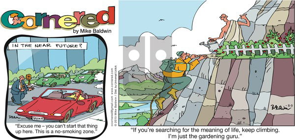 Cornered on Sunday August 9, 2015 Comic Strip