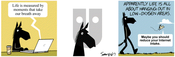 Dark Side of the Horse on Tuesday June 20, 2017 Comic Strip