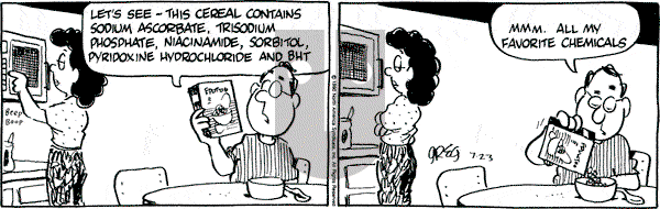 Luann on Monday July 23, 1990 Comic Strip