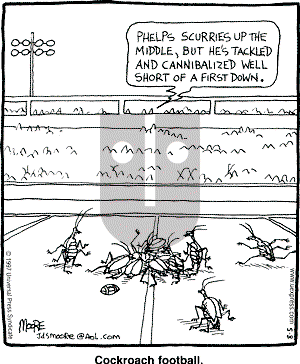 In the Bleachers - Tuesday August 5, 1997 Comic Strip