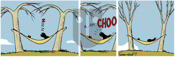 Dark Side of the Horse on Tuesday October 22, 2019 Comic Strip