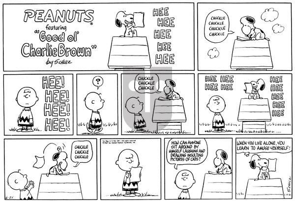 Peanuts on Sunday June 25, 1967 Comic Strip