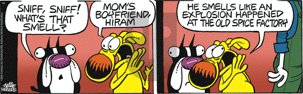 Mother Goose and Grimm on Wednesday July 9, 2025 Comic Strip