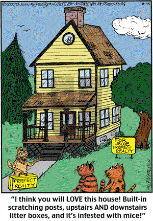 Close to Home on Friday August 15, 2025 Comic Strip
