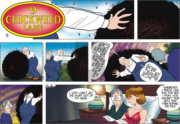 9 Chickweed Lane on Sunday May 30, 2010 Comic Strip