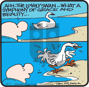 Ziggy on Thursday December 11, 2008 Comic Strip