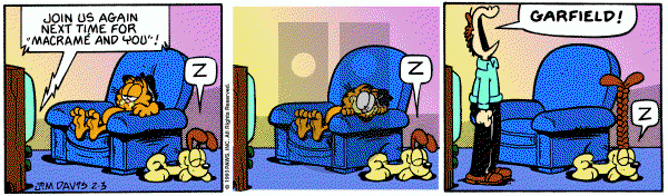 Garfield on Wednesday February 3, 1993 Comic Strip