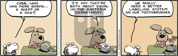DeFlocked on Monday January 26, 2009 Comic Strip