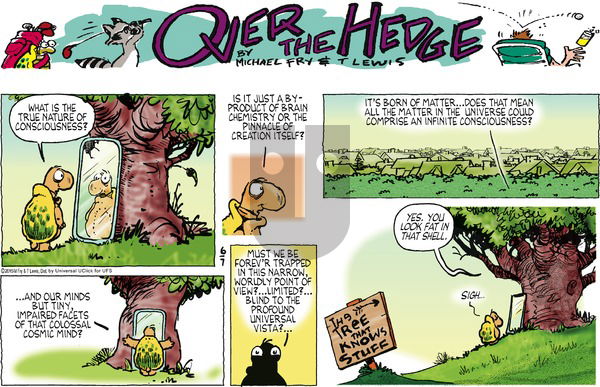 Over the Hedge on Sunday June 7, 2015 Comic Strip