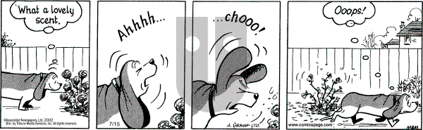 Fred Basset on Monday July 15, 2002 Comic Strip