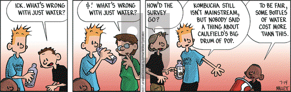 Frazz on Friday July 14, 2017 Comic Strip