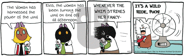 Breaking Cat News on Tuesday June 27, 2017 Comic Strip