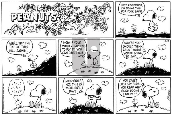 Peanuts on Sunday May 12, 1991 Comic Strip
