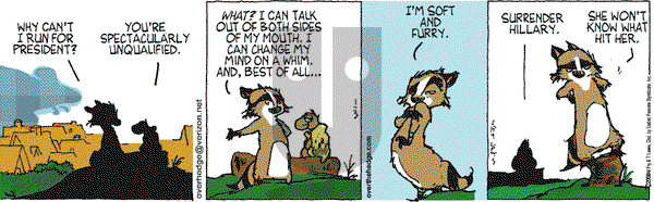 Over the Hedge on Thursday January 3, 2008 Comic Strip