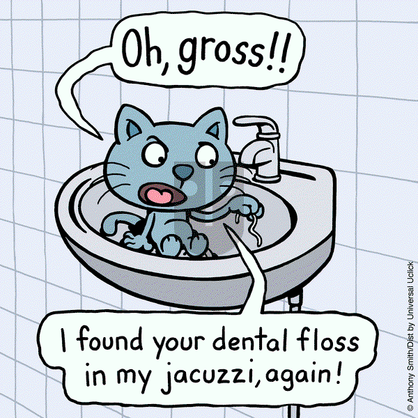 Cattitude — Doggonit - Monday June 17, 2024 Comic Strip