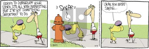 The Duplex on Saturday June 16, 2018 Comic Strip