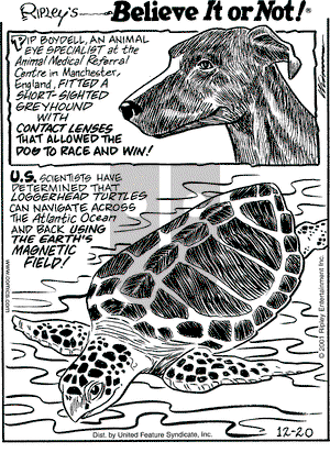 Ripley's Believe It or Not on Thursday December 20, 2001 Comic Strip