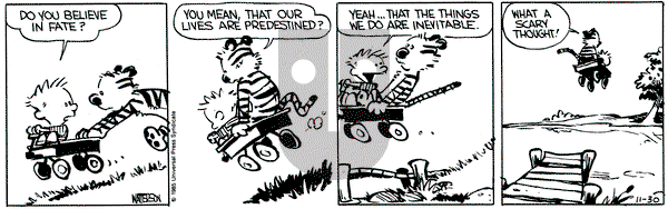 Calvin and Hobbes on Saturday November 30, 1985 Comic Strip
